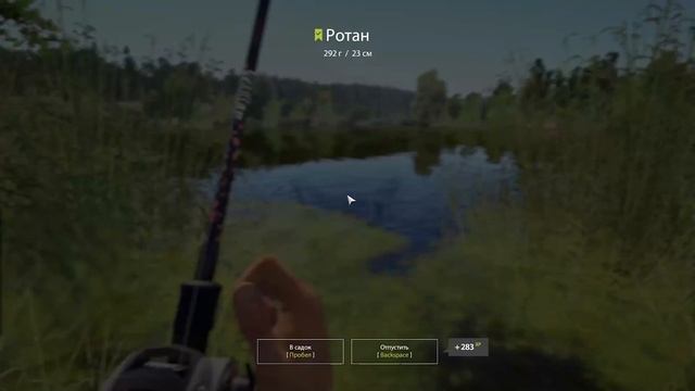 Трофейный Ротан. Квалификация. Озеро Комариное. Русская рыбалка 4 | Russian Fishing 4 смотреть онлайн