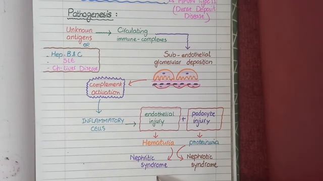 Membranoproliferative Glomerulonephritis | Pathology смотреть онлайн