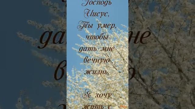 Большая любовь#Молитва#доброе утро# смотреть онлайн