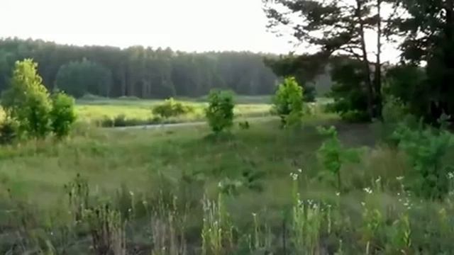 Test Sony HDR-CX240E смотреть онлайн