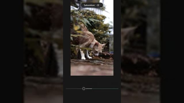 Adobe Photoshop Lightroom CC tutorial Moody Dark смотреть онлайн