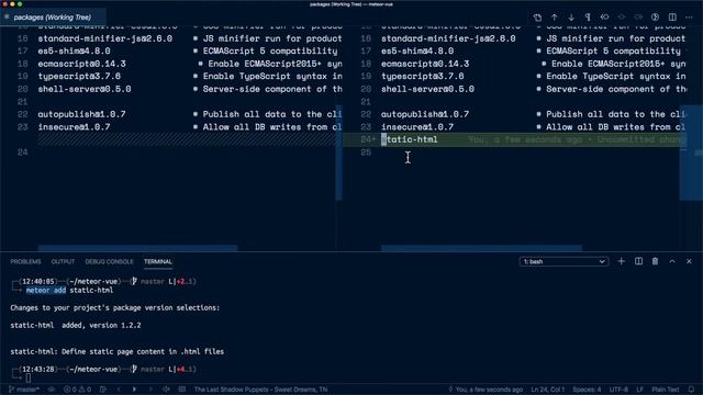 06: [Meteor + Vue] Atmosphere and npm packages смотреть онлайн