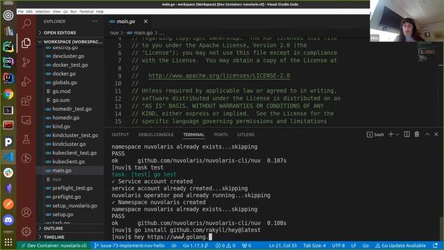 Nuvolaris Training - Developing in Go the nuv cli смотреть онлайн