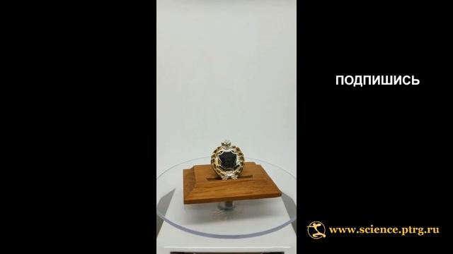 № 2025 Нагрудный знак ПРОФЕССОР, ДСН, ДПН, круглый, парадный, позолоченное серебро смотреть онлайн