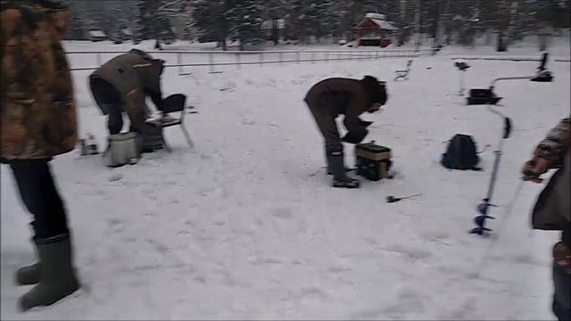 Поимки форели со льда. Хорошо работает "актив". Спорт зона, клёвое место лосиный остров смотреть онлайн