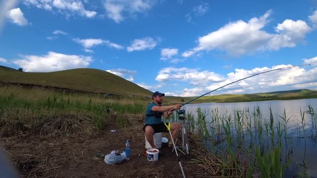 ВОТ ЭТО ПАРОВОЗ!!!РЫБАЛКА НА ДОНКИ И ФИДЕР В НАЧАЛЕ ИЮНЯ. смотреть онлайн