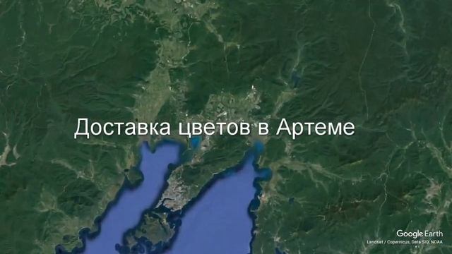 Доставка цветов в Артеме - Заказ букетов от компании Скорая подарочная помощь смотреть онлайн