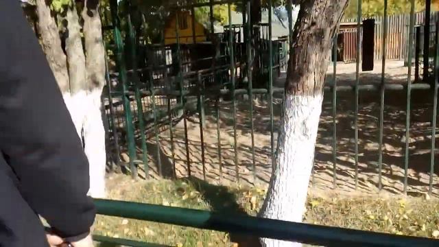 Зоопарк Новгород 1часть смотреть онлайн