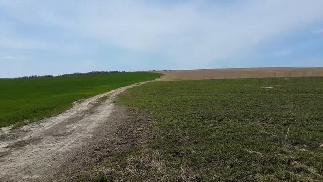 Скоростной спуск (холмы кряжа) смотреть онлайн