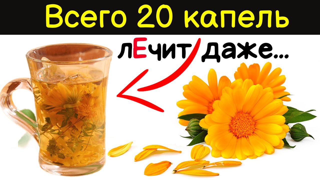 Годами мучилась, а спасла настойка КАЛЕНДУЛЫ! 85% людей не знают об ЭТОМ смотреть онлайн
