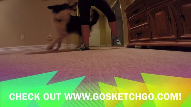 Meet Sketch! (Go Sketch Go - Intro) смотреть онлайн
