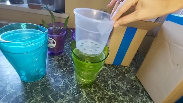 Горшки и Кашпо KOMPLEKT Plastik для ОРХИДЕЙ смотреть онлайн