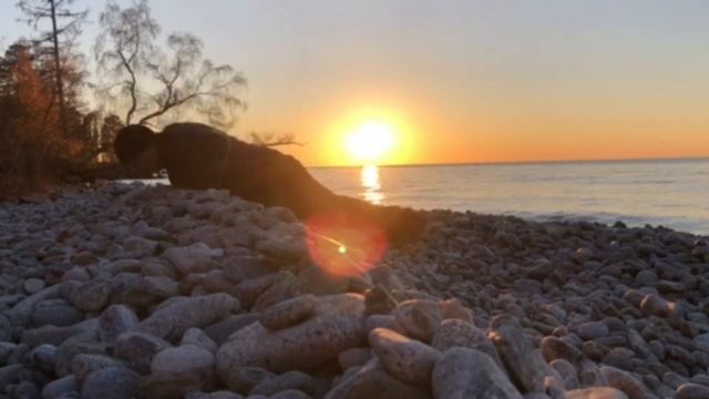 День 12 отжиманий (30 раз)/Day 12 push-ups смотреть онлайн