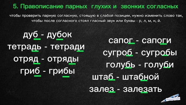 ВСЕ ОРФОГРАММЫ ИЗУЧАЕМЫЕ В 1 КЛАССЕ / 1 КЛАСС РУССКИЙ ЯЗЫК / Начальная школа орфограммы смотреть онлайн