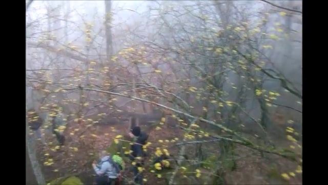 Поход до каменных грибов, п.Синегорский Абинский район_1.03.15 смотреть онлайн