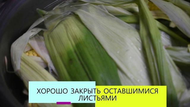 КАК ПРАВИЛЬНО И ВКУСНО СВАРИТЬ КУКУРУЗУ.
