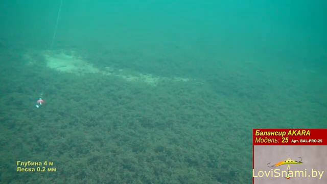 Балансир AKARA 25 смотреть онлайн