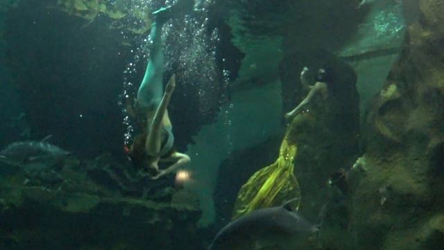 "Шоу русалок" в самом удаленном от морей океанариуме мира.Океанариум Нурсултан.Думан. смотреть онлайн