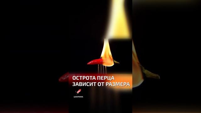 Острота перца зависит от размера - интересные факты про фрукты и овощи смотреть онлайн