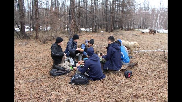 Манчаары саспыт сиригэр