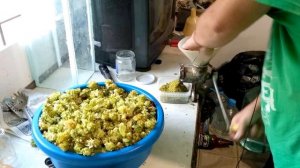 Домашний хмель ! переработка и вакуумирование !