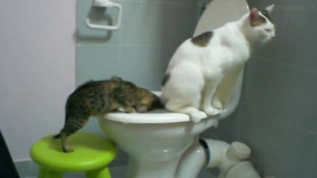 CAT URI-Нужно учить не рассказом, а работой и показом. смотреть онлайн