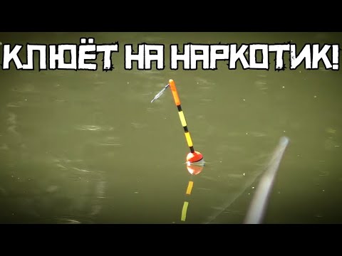НАСЫПАЛ ЧЕСНОЧНЫЙ НАРКОТИК! Клюёт МАХОМ в наноречке! Рыбалка на поплавок 2023 смотреть онлайн