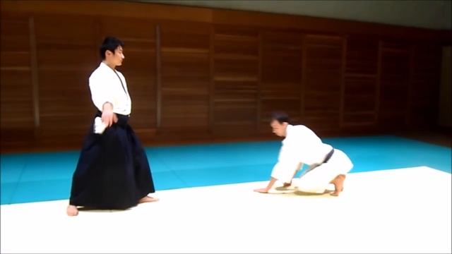 Advanced Aikido Ukemi: Ushiro Otoshi Tutorial смотреть онлайн