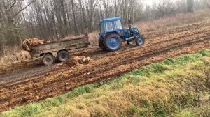 СТУКАНУЛ ДВИГАТЕЛЬ ТРАКТОР Т-40 | РАЗБИРАЕМ МОТОР