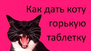 Как дать коту горькую таблетку | Как дать таблетку агрессивному коту #какдатькотутаблетку