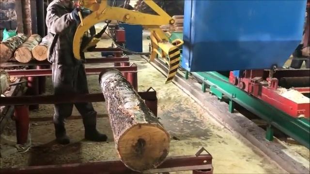Пилорама Радуга 2М Качественный распил березы смотреть онлайн