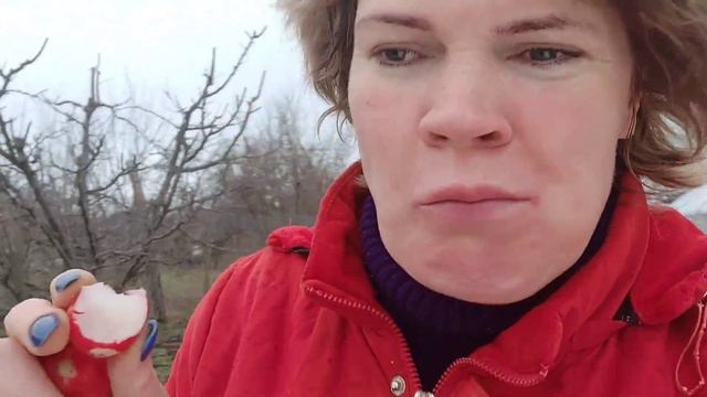 Урожай редиски в неотапливаемой теплице уже в феврале 2 февраля 2022 г. смотреть онлайн