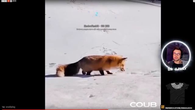 ? [SNAILKICK] СМОТРИТ | I AM RITTO смотреть онлайн