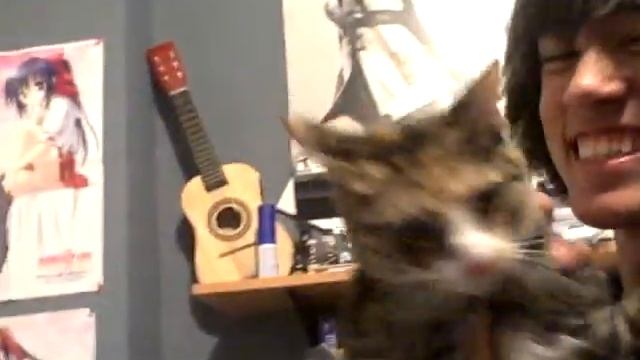 Jump Kitty :3 смотреть онлайн