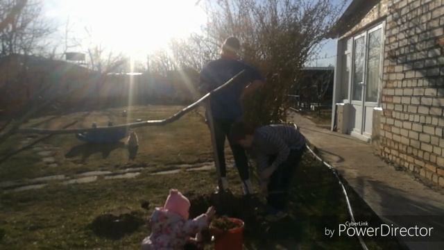 УКРАЛА САЖЕНЦЫ НА РЫНКЕ///САЖАЕМ смотреть онлайн