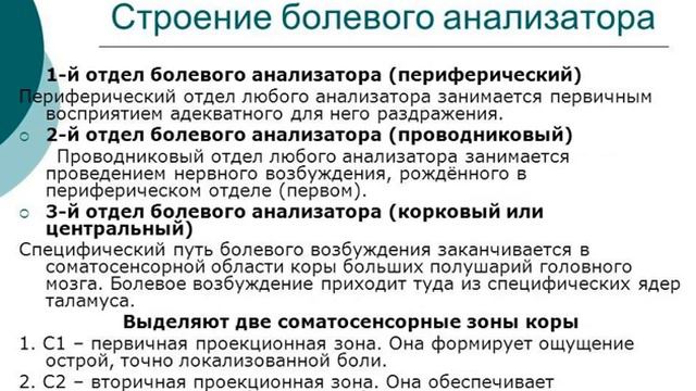 Физиология кожной сенсорной системы смотреть онлайн