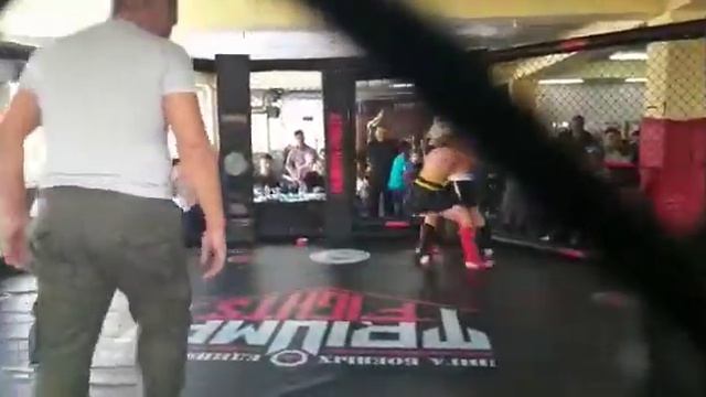 Клуб стальной волк смотреть онлайн