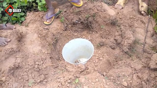 Amazing Fan Guard Deep Hole Snake Trap To Catch Huge Snake By 3 Smart Boys смотреть онлайн