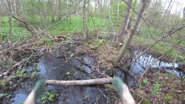 ПОКАТУШКА НА КВАДРОЦИКЛАХ В ЛЕС, ТАМ, ГДЕ НЕ СТУПАЛА НИ ОДНА ПОКРЫШКА! смотреть онлайн