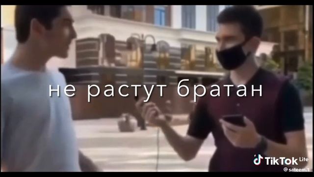 На березе яблоки