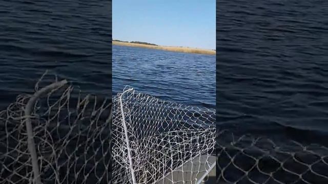 Сузукі 2.5 + Спортекс 270 смотреть онлайн