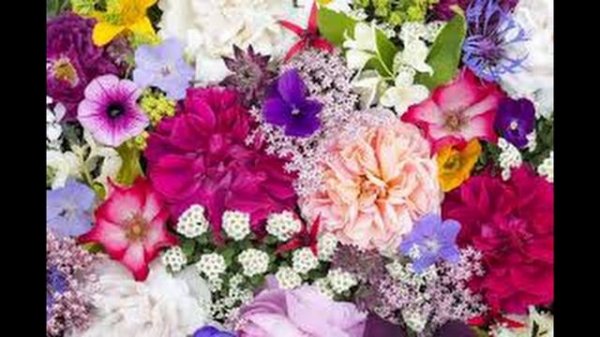 Radu Sirbu ft.  Sianna  -  Emotion