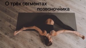 3 сегмента позвоночника