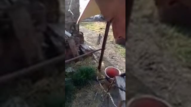 609.3.14.ᱷ.3L.9.7 ; РАСТЕНИЕ. ОБРАБОТКА. СЕЛЬСКОЕ. СЕЛО. PROPHET. SHCHERBAKOV. ЩЕРБАКОВ АРТЁМ.