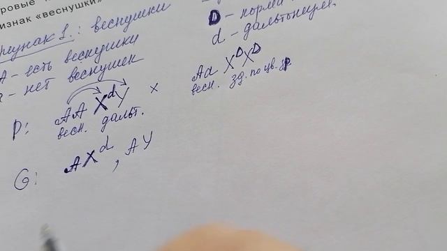 Наследование, сцепленное с полом. Часть 2. смотреть онлайн