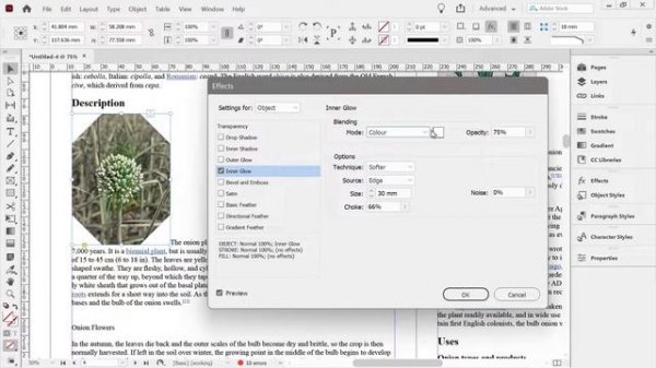 Import Word Documents into Indesign