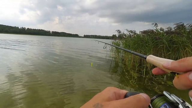 Что может спиннинг для твичинга. Maximus Manic 20ML