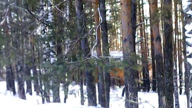 иду играть в шахматы обзор стадиона. смотреть онлайн