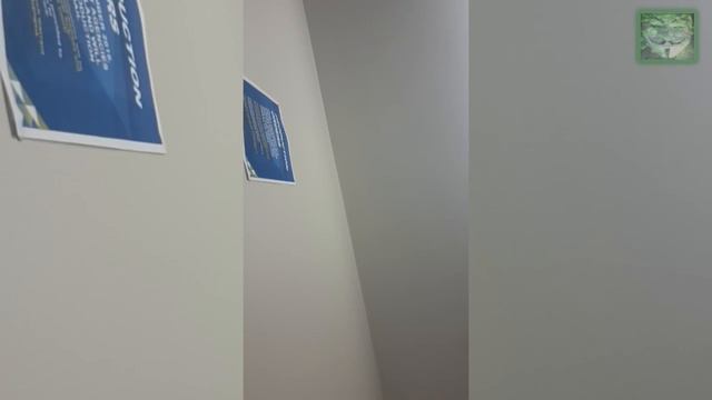 80 Dollar Ticket - Part 28 - 15 March 2018 - Attending to get the Complete Case File смотреть онлайн