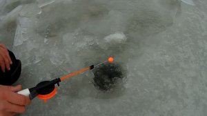 Ловля окуня на БАЛДУ.БАЛДА ЛОВИТ ВСЕГДА.Рыбалка на БАЛДУ.